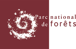 logo pnforets 0